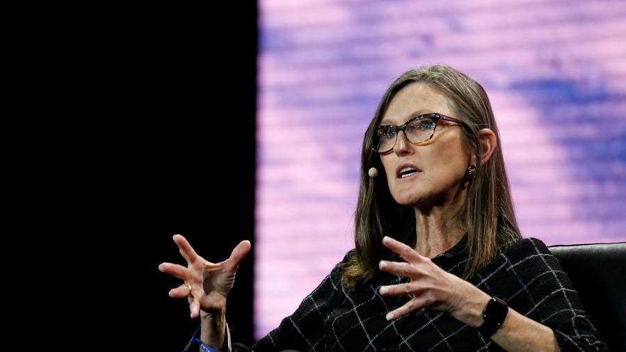 Cathie Wood fans keep the faith as ARKK sinks amid tech sell-off