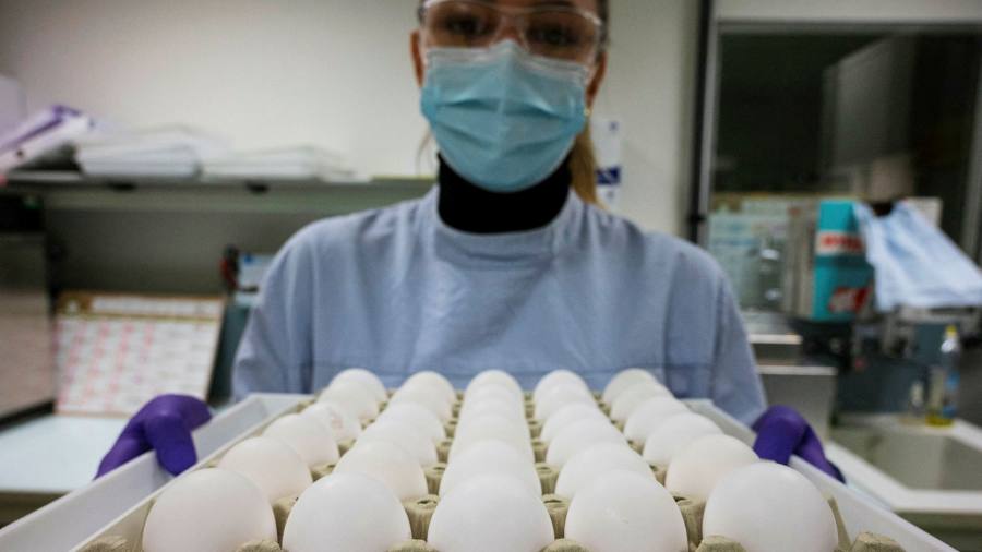 Hedge funds scoop up biotech stocks after ‘catastrophic’ declines 95 Hedge funds scoop up biotech stocks after ‘catastrophic’ declines