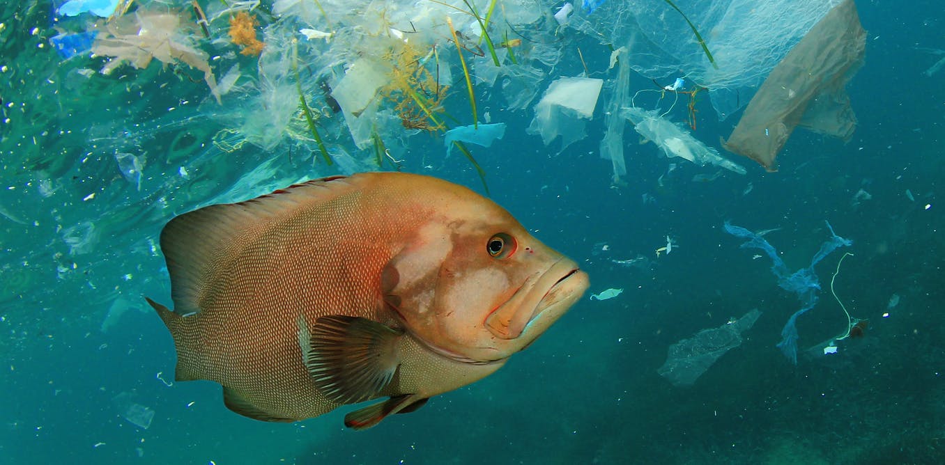 Microplastics might be entering marine food webs from the bottom up 30 Microplastics might be entering marine food webs from the bottom up