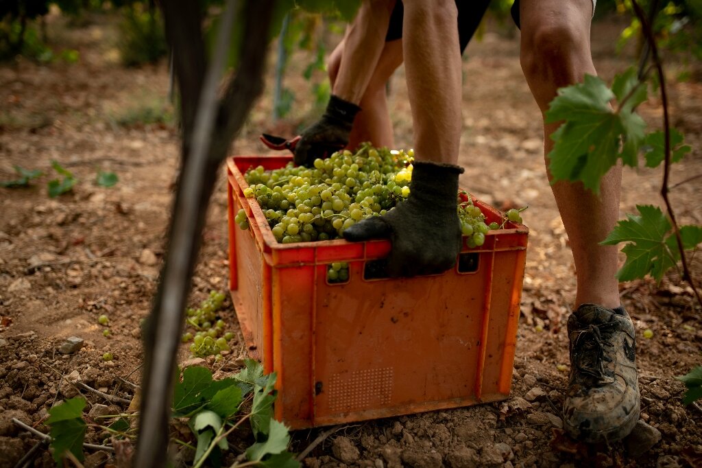 Spain, Portugal dryness 'unprecedented' in 1,200 years 90 Spain, Portugal dryness 'unprecedented' in 1,200 years