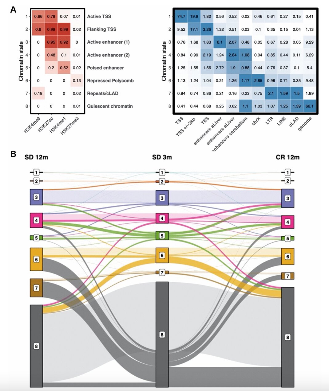 Time makes histone H3 modifications drift in mouse liver 62 Time makes histone H3 modifications drift in mouse liver