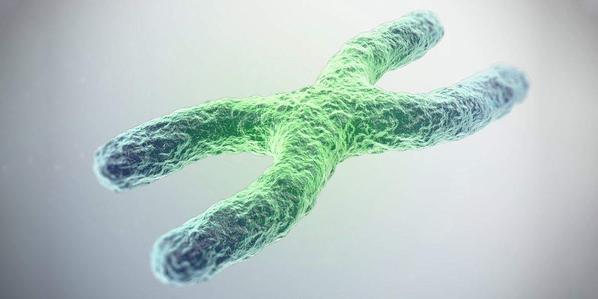 It Sure Looks Like Humans Have Found a Way to Reverse Aging 72 It Sure Looks Like Humans Have Found a Way to Reverse Aging