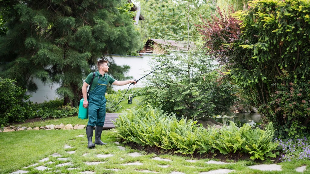 This Summer's Heat Wave Brings Out More Mosquitos. But the Pest Control Industry Sees an Opportunity. 26 This Summer's Heat Wave Brings Out More Mosquitos. But the Pest Control Industry Sees an Opportunity.