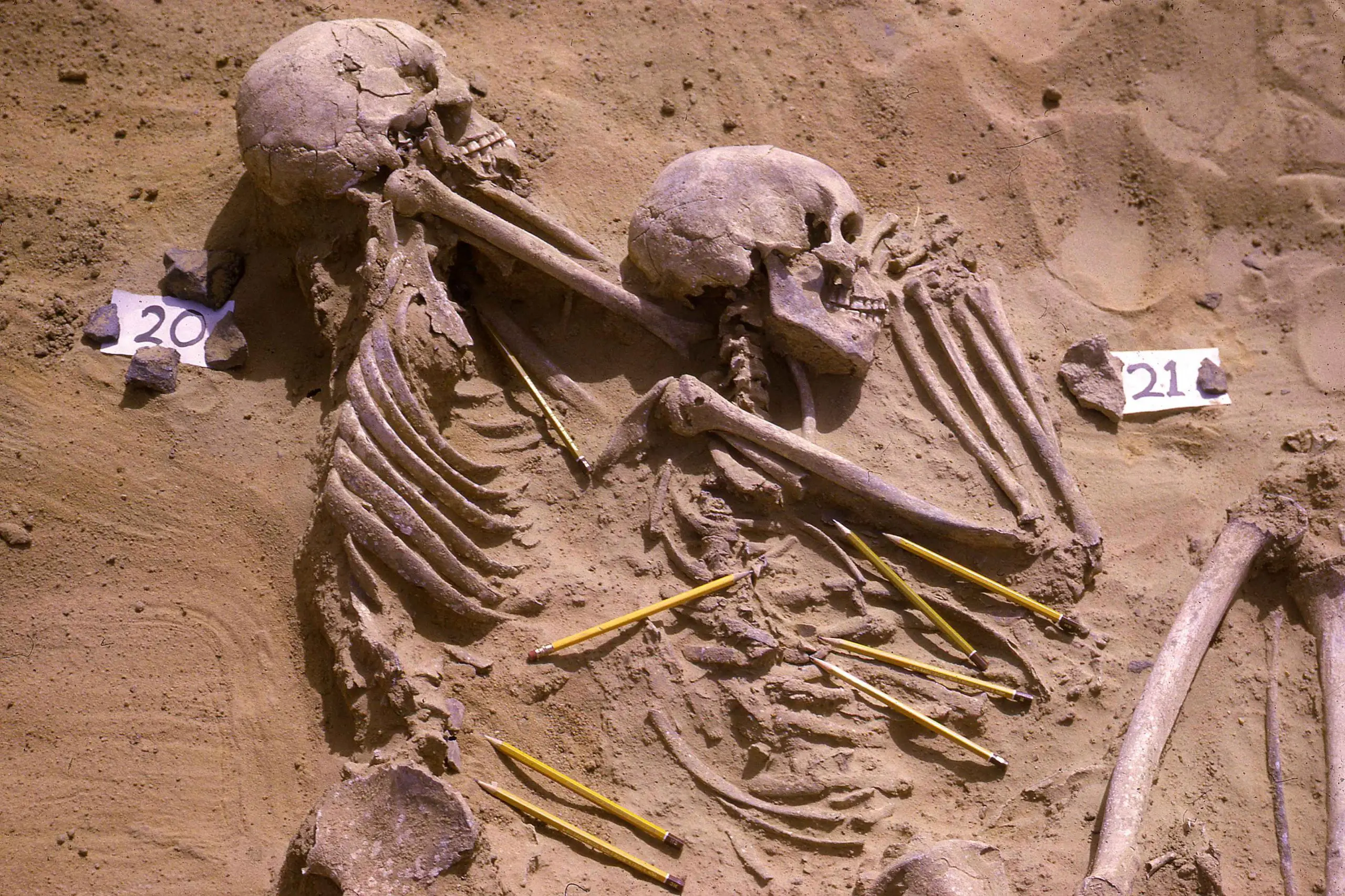 Jebel Sahaba: Analysis of Bones Reveals a Succession of Violence Rather Than a Prehistoric War