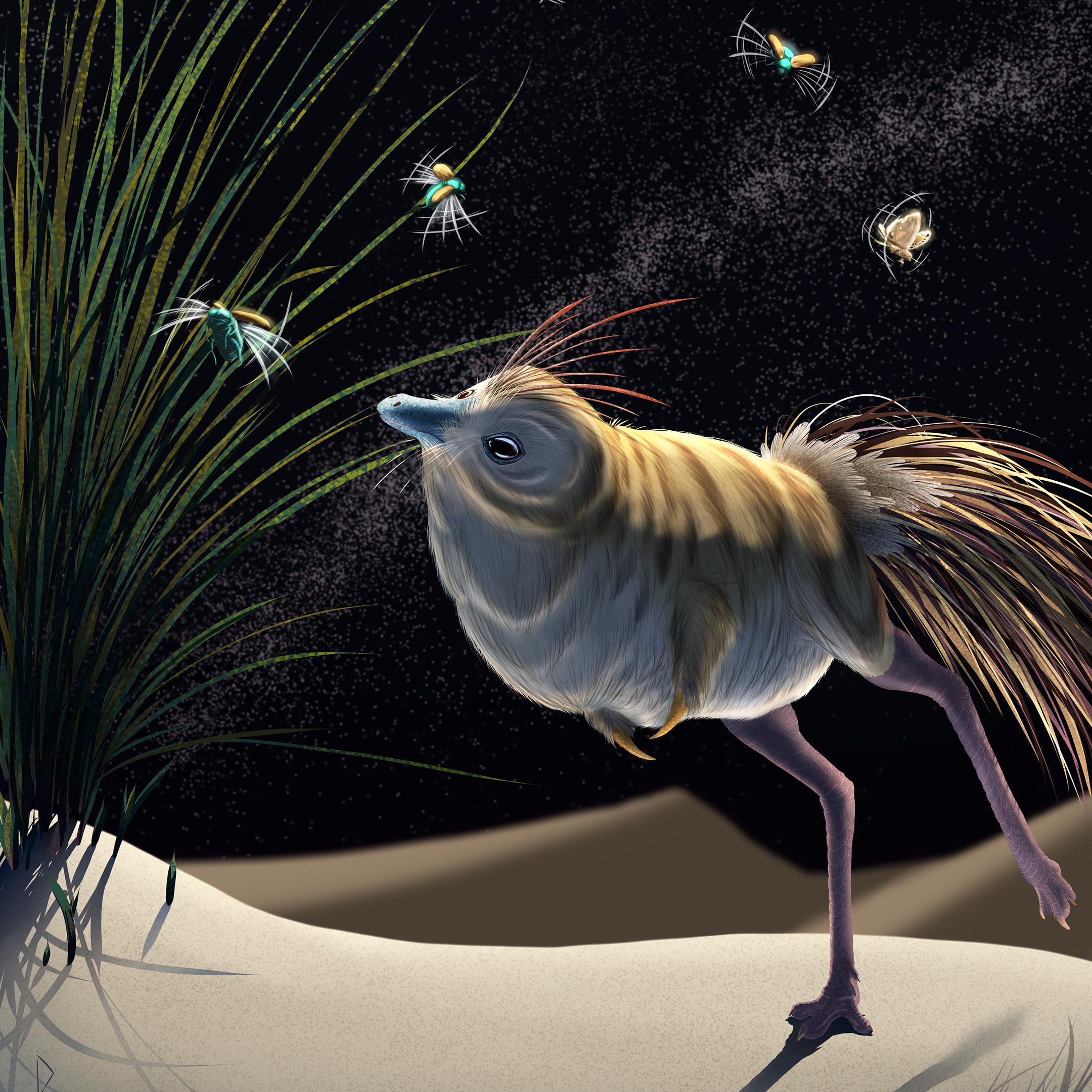 Shuvuuia: Extraordinary Dinosaurs That Hunted in the Dark