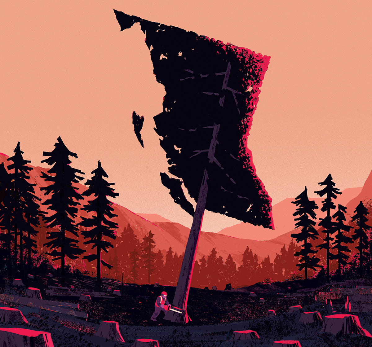 Clearing Out: BC’s Logging Industry Sets Its Sights on the US | The Walrus