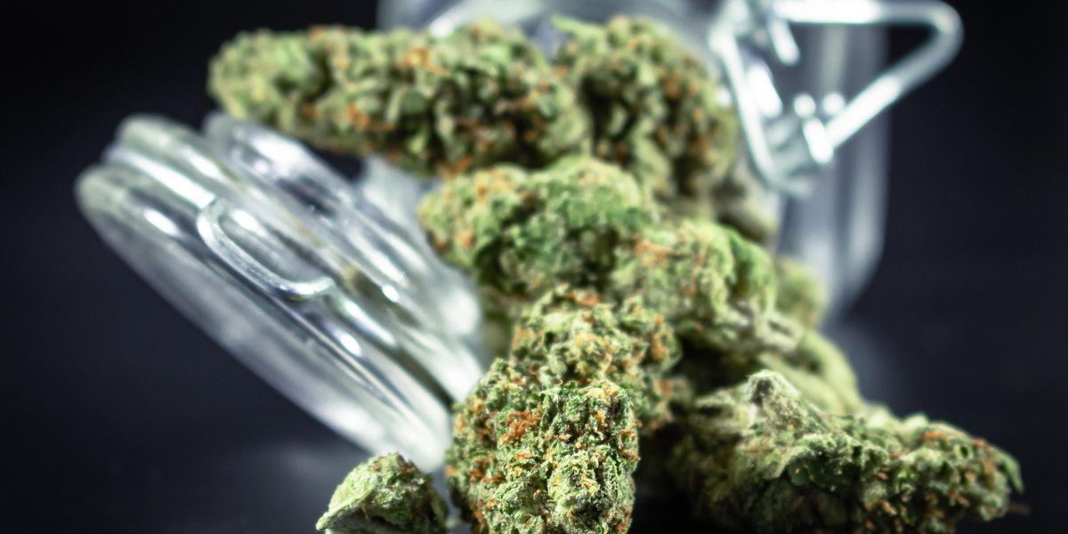 Cannabis Risk Manager Calls Out Need for US Reform