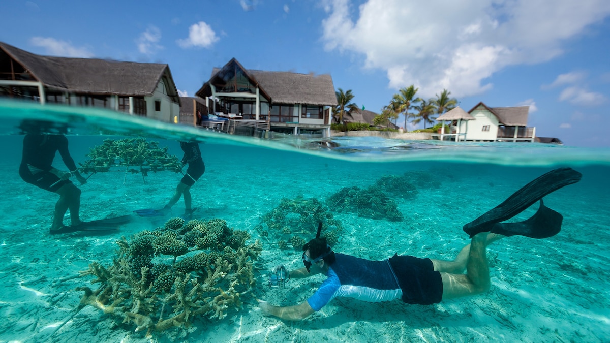 What does sustainable travel mean? 78 What does sustainable travel mean?