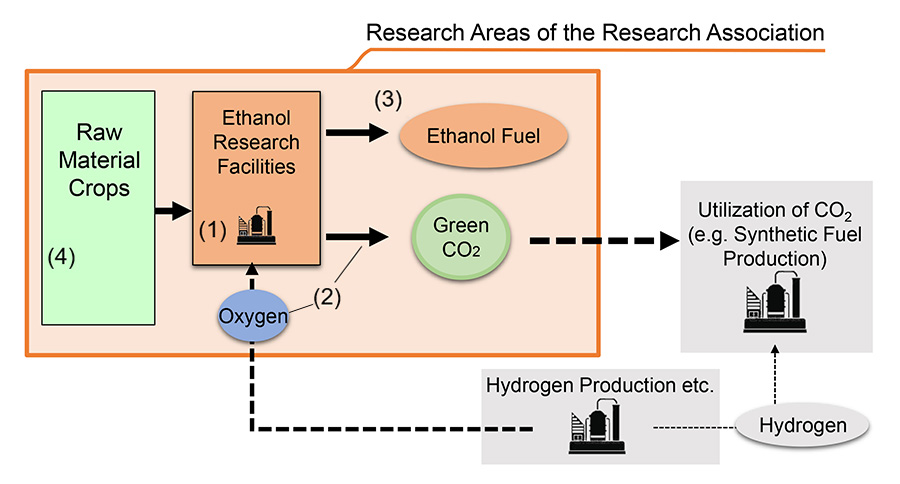 Six private companies establish "Research Association of Biomass Innovation for Next Generation Automobile Fuels" | Automotive World