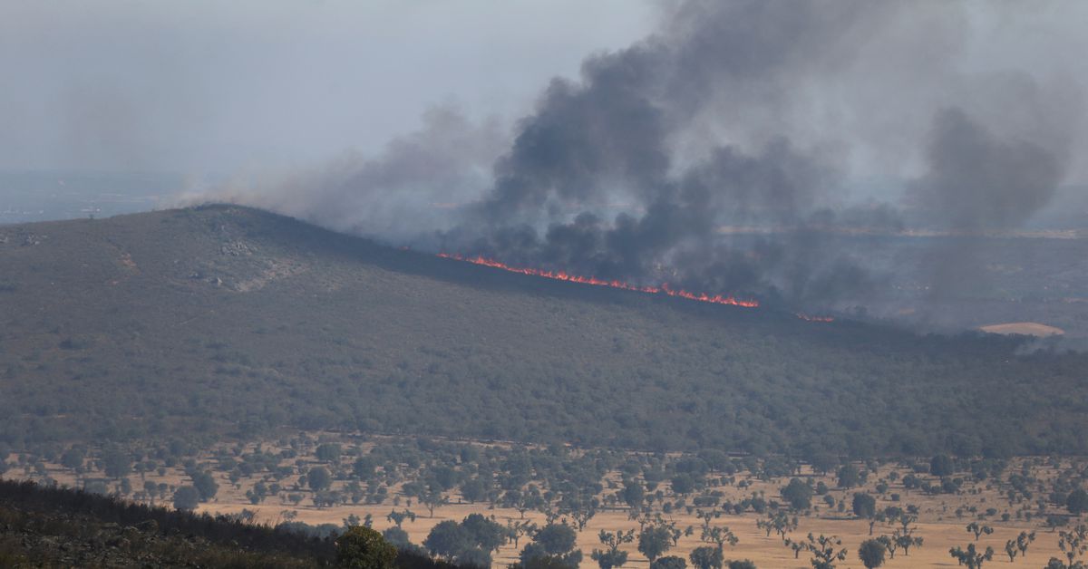 Wildfires in Spain, Morocco produce record-breaking carbon emissions
