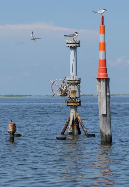 Louisiana state Senate committee sides (again) with oil companies against parishes over lawsuits 28 Louisiana state Senate committee sides (again) with oil companies against parishes over lawsuits
