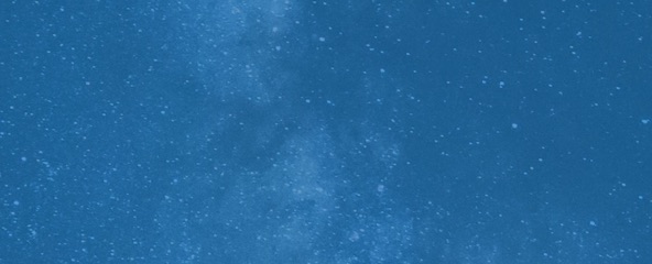 Ed Yong’s ‘An Immense World’ reveals how animals perceive the world