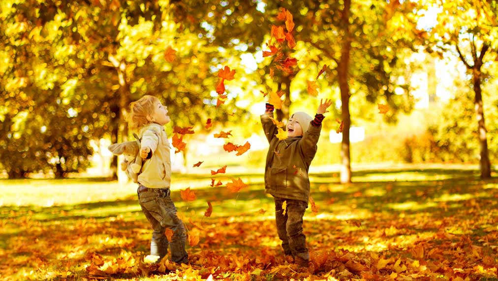 Only 2 Stocks Outperform Every Fall, Offering Rare Moneymakers