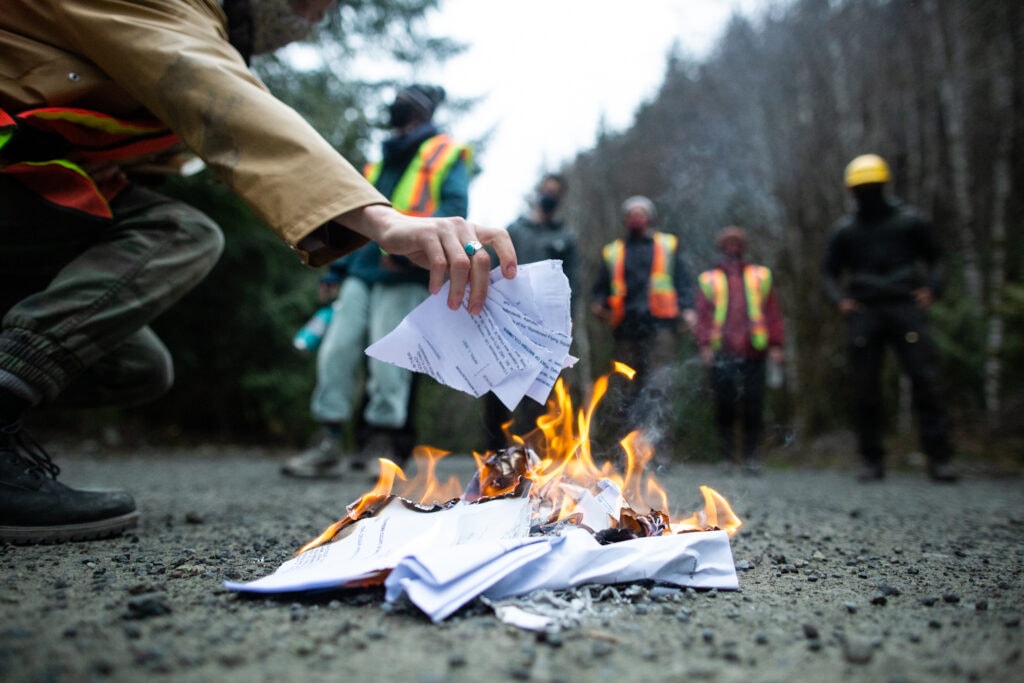 As Fairy Creek blockaders brace for arrests, B.C.’s failure to enact old-growth protections draws fire | The Narwhal
