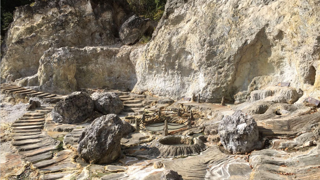 These climate-friendly microbes recycle carbon without producing methane