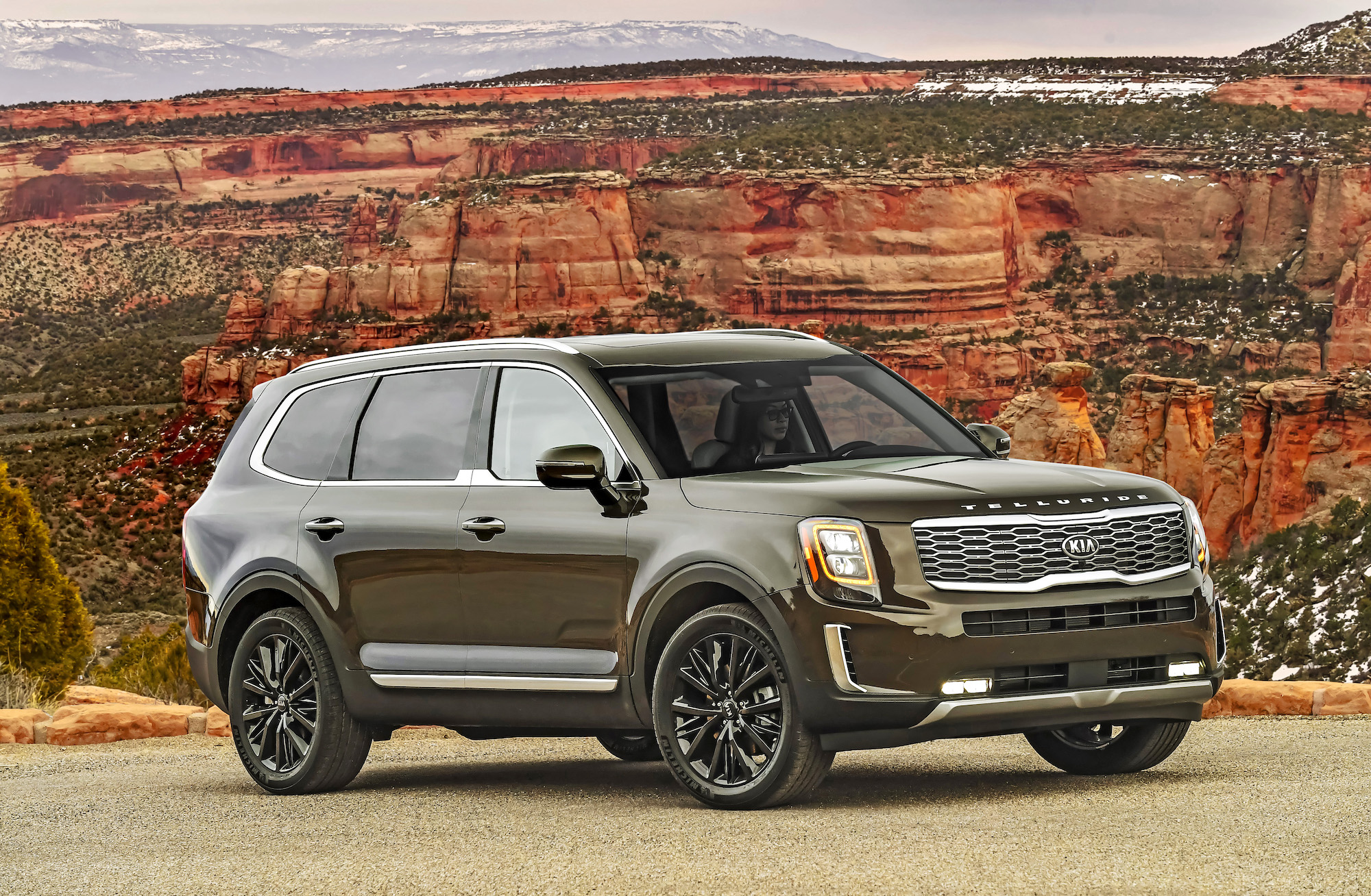 Even the 2020 Kia Telluride Shock Absorbers Are Noteworthy | MotorBiscuit