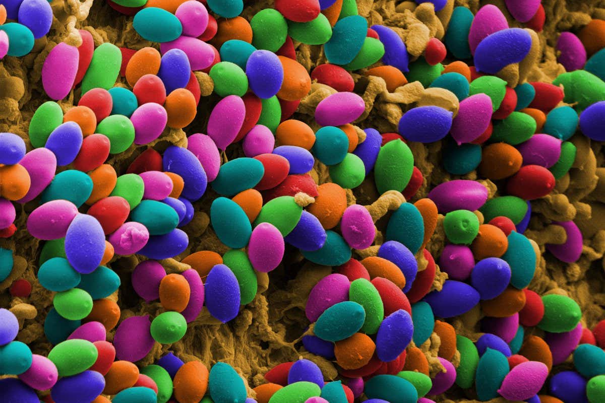 AI analyses drug users’ trip reports to better understand psychedelics 12 AI analyses drug users’ trip reports to better understand psychedelics