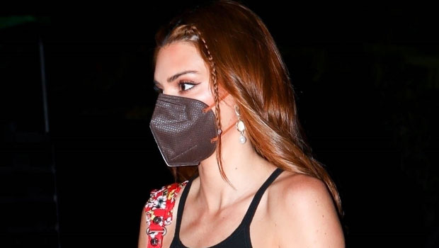 Kendall Jenner Rocks Black Crop Top & Leather Pants At Coachella With Kylie 93 Kendall Jenner Rocks Black Crop Top & Leather Pants At Coachella With Kylie