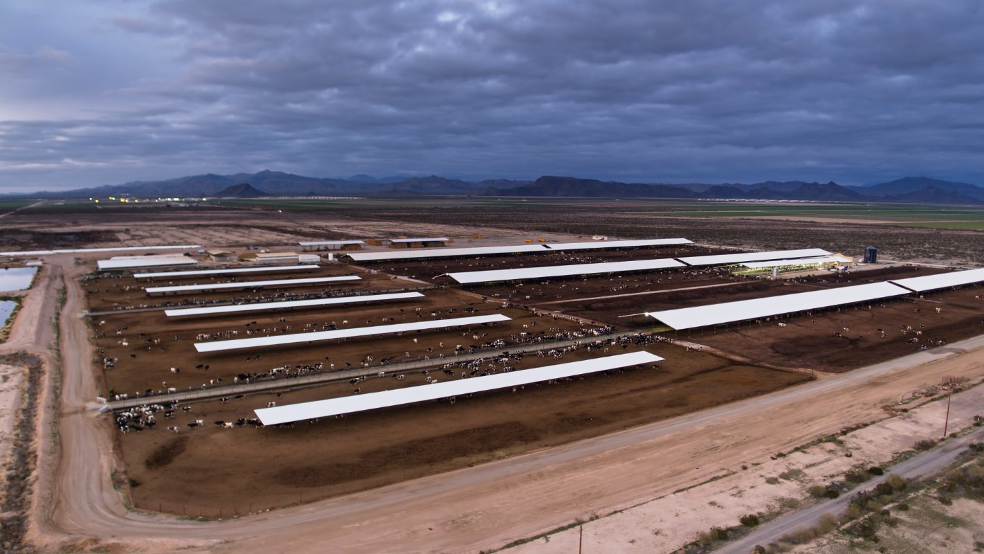 California Dairy Uses Lots of Water. Here’s Why It Matters.