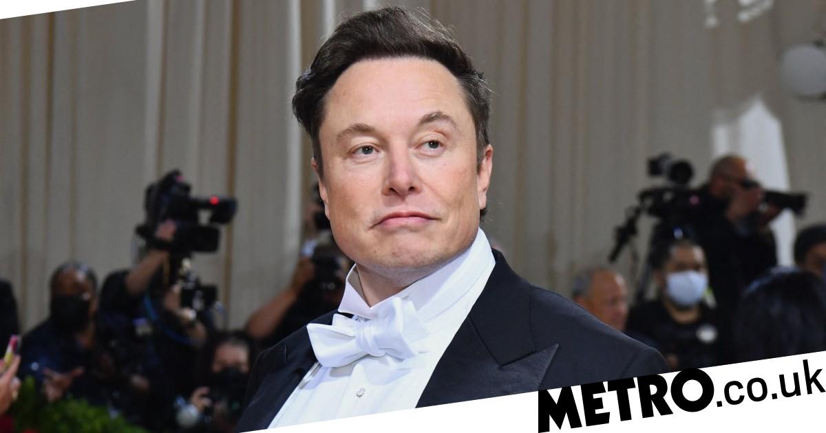 Elon Musk ‘had twins with exec weeks before baby with Grimes was born' 2 Elon Musk ‘had twins with exec weeks before baby with Grimes was born'