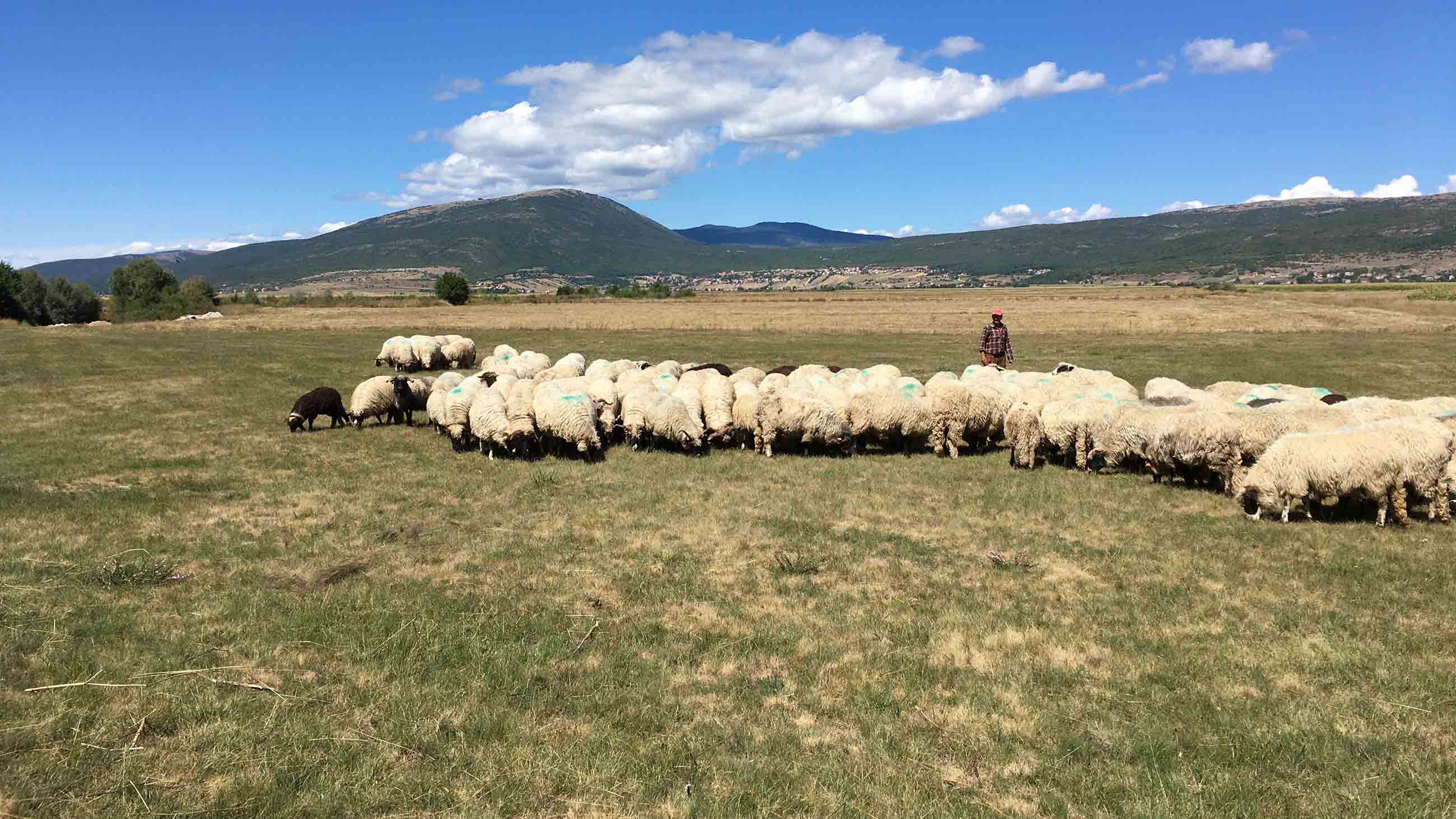 Podcast: Restoring Landscapes and Livelihoods 73 Podcast: Restoring Landscapes and Livelihoods